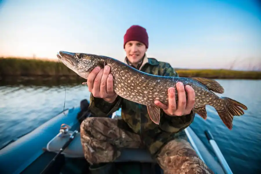 Fishing store category image